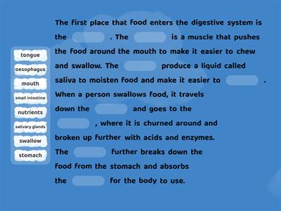 Digestive System