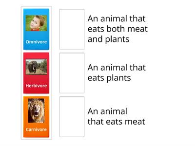 Types of animals