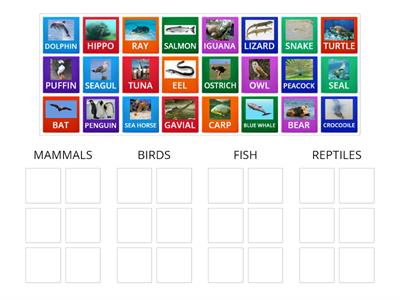 CLIL - Biology (sort mammals, birds, reptiles and fish)