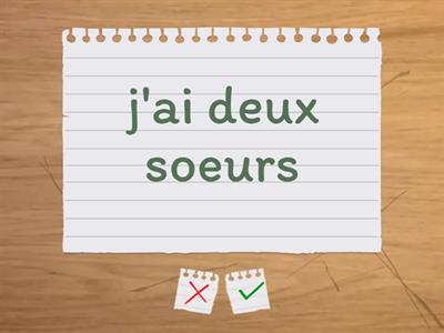  Tu as des frères et des soeurs? (Flashcards)