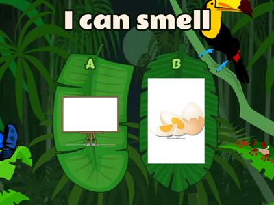 Sense of smell