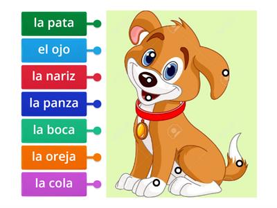 PARTES DEL CUERPO DEL PERRO