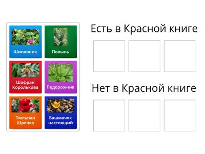 Естествознание 3 класс