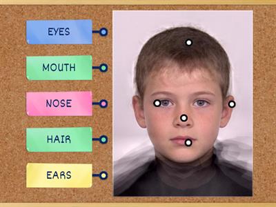 Parts of the Face - Asynchronous Task 