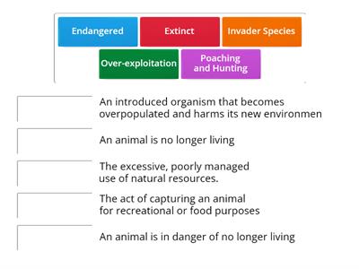 Endangered Animals-Grade4