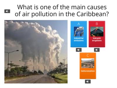 Understanding Pollution in the Caribbean: Effects and Causes on Humans and Animals