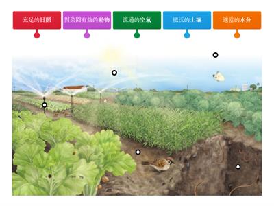 CH1-1_菜園的環境條件