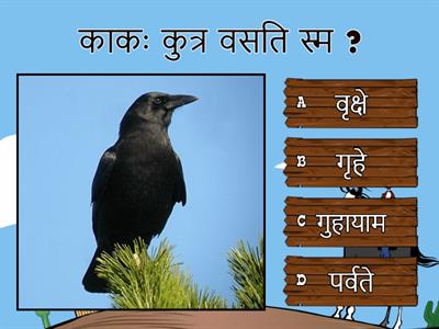 Sanskrit Quiz