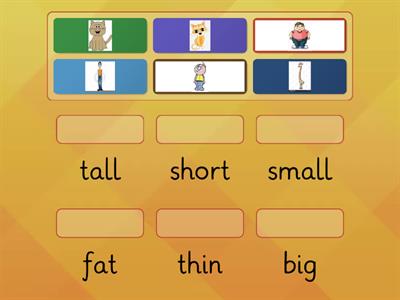 adjectives (tall, short, fat, thin)