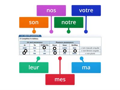 Adjectifs possessifs, tableau