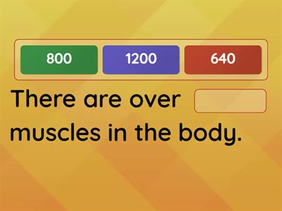 Muscular System Fill In the Blank