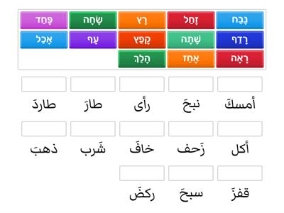 משחק התאמה - פעלים בנושא חיות- עברית בעיניים גדולות - סוכיינה ביאדסה כבהא