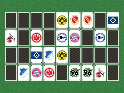 German 1. Bundesliga (2008)