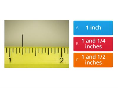 rulers (quarter inches)