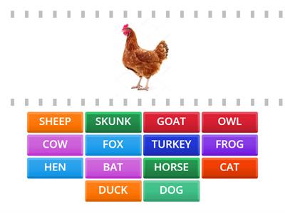 4 ANIMALS Vocabulary