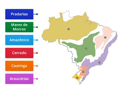 Domínios Morfoclimáticos Brasileiros