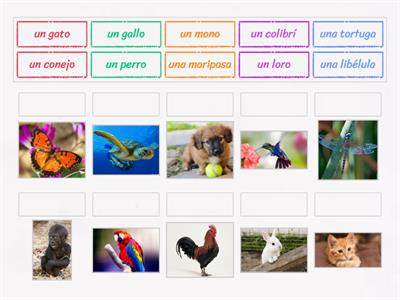 El vocabulario de los animales (1)