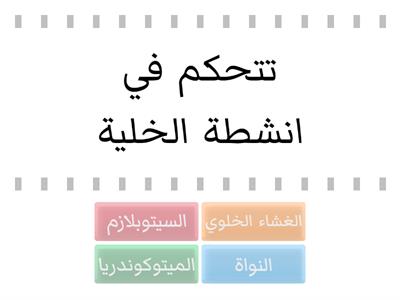 تركيب الخلية الحيوانية