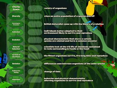 Remediate- Evolution 1