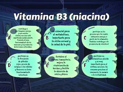 Funcionamiento de las vitaminas hidrosolubles