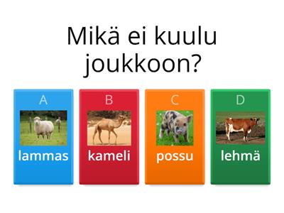 Mikä ei kuulu joukkoon 2 (vaikeampi)