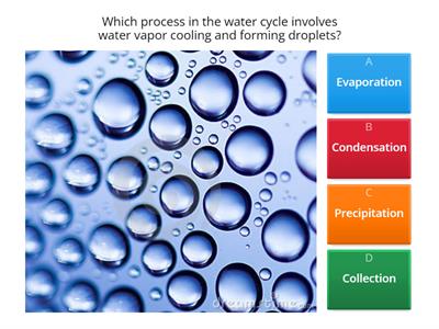 water cycle 