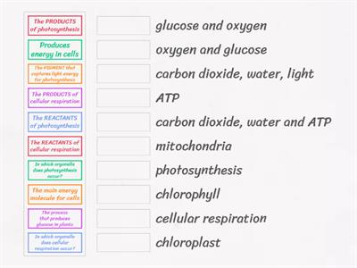 photosynthesis / cellular respiration