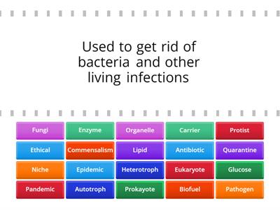 Biology EOG review