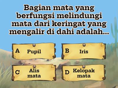 Soal Evaluasi Panca Indra