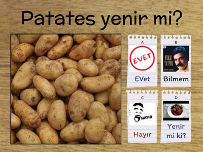 Patates alemi
