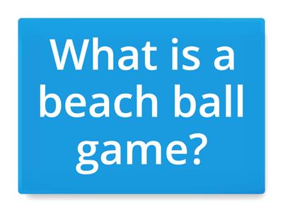 Beach Ball Sports