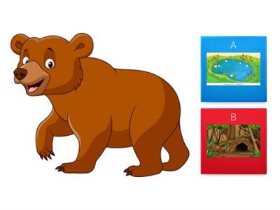 Match the animals to their habitats.