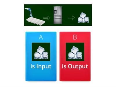 Input /Output