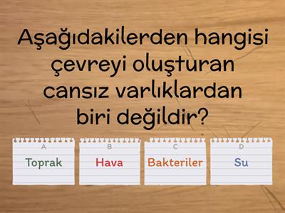 İnsan ve Çevre Test