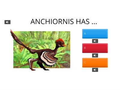 Anchiornis (AUDIO ONLY)