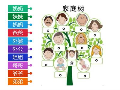 Chinese Family Members