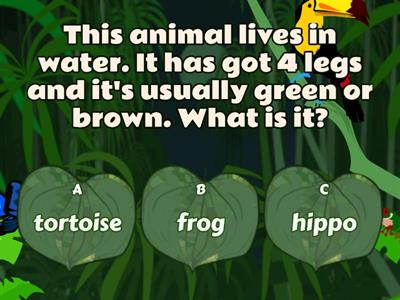 IE4 U8 - Animal quiz