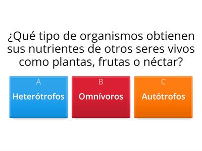 FOTOSÍNTESIS/NUTRICIÓN EN SERES VIVOS # 4