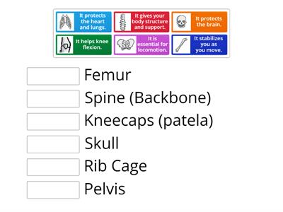 Bones Functions and their Names