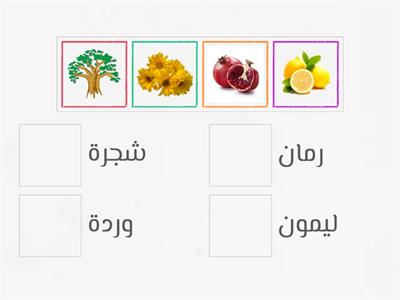 match up Arabic words