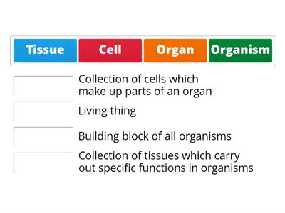 Y6 Cell, tissue, organ or organism?
