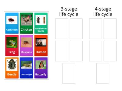 3 Stage? 4 Stage?