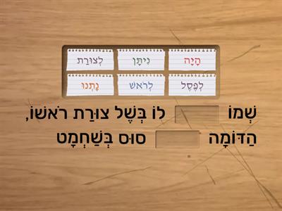 השלמת משפטים סוסון הים