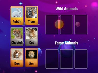 Animals-Group Sort