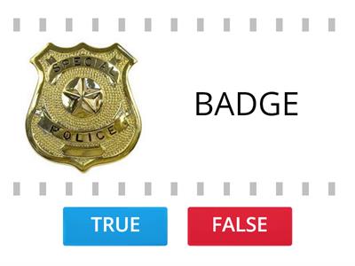 TRUE OR FALSE? - POLICE OFFICER