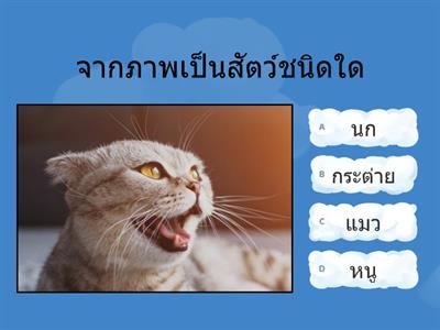 ป.1 สิ่งมีชีวิต วิชาวิทยาศาสตร์