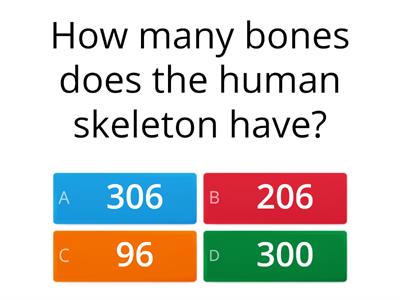 skeleton quiz (INT)