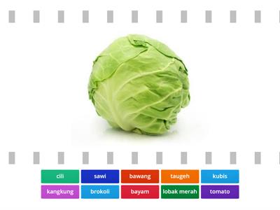 Sayur -Sayuran
