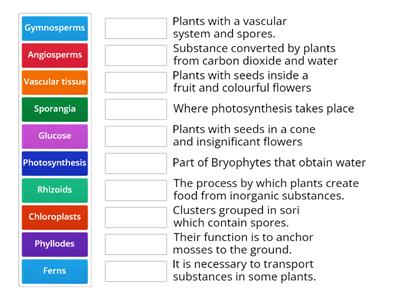 Plant Kingdom -  Quiz 1: