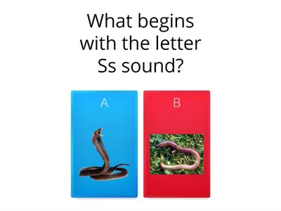 Things that start with the letter Ss